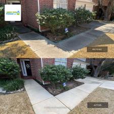 Driveway Concrete Cleaning in San Antonio, TX 0