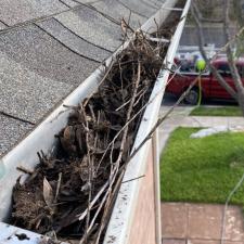 Gutter Cleaning in San Antonio, TX 3